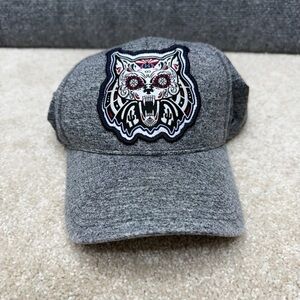Zephyr Arizona Wildcats candy skull cat snapback hat cap Men's adjustable gray